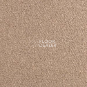 Ковролин Brintons Finepoint Renoir Fleece f 12 фото 1 | FLOORDEALER